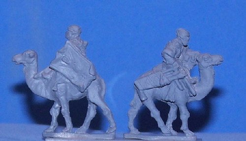PIG030032 - TUAREG CAMEL, JAVELINS PIG030032 - TUAREG CAMEL, JAVELINS