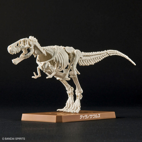 1/32 - Bandai Spirits Imaginary Skeleton - Tyrannosaurus T