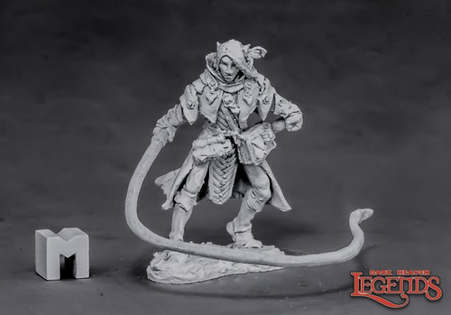 03864 - Dark Heaven Legends:  Belthual, Elf Chronicler