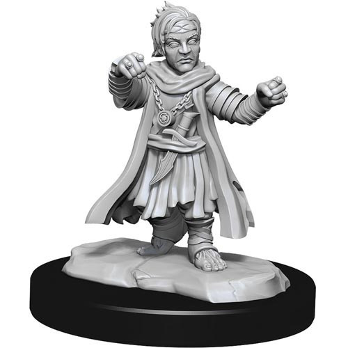 Pathfinder Battles Deep Cuts Unpainted Minis: W15 Male Halfling Monk