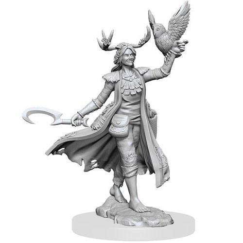 D&D Frameworks: W1 Female Human Druid D&D Frameworks: W1 Female Human Druid