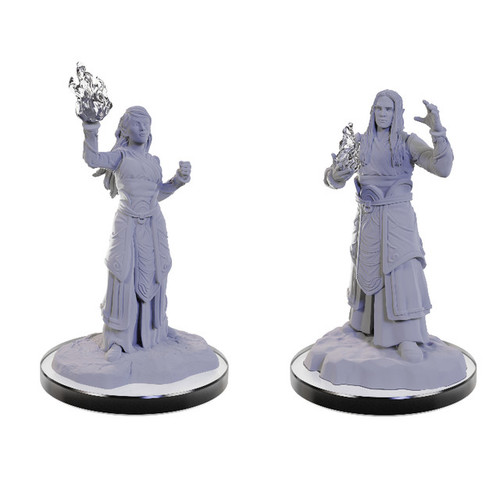 D&D Nolzur's Marvelous Unpainted Miniatures: W22 Elf Wizards