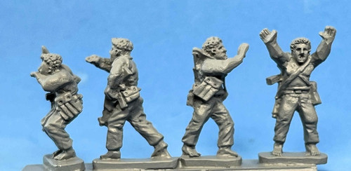 PIG170200 - MILITIA NCO'S