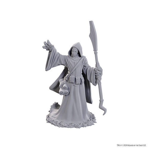 Dungeons & Dragons: Nolzur's Marvelous Unpainted Miniatures -Star Spawn Larva Mage