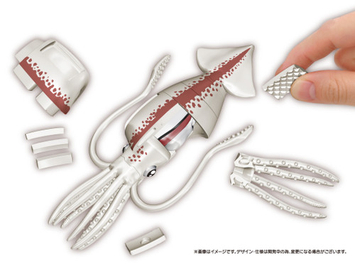 Kaitai Puzzle, Squid Puzzle