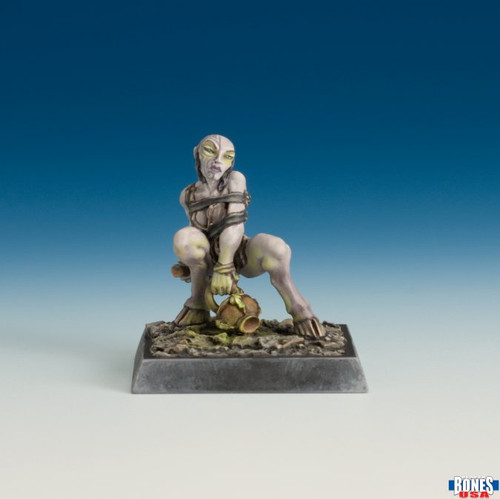 30242 - Bones USA Reaper Legends: Female Chaos Cultist