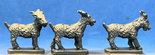 PIG210135 - Goats x8