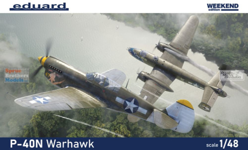 1/48 P-40N Warhawk - Weekend Edition