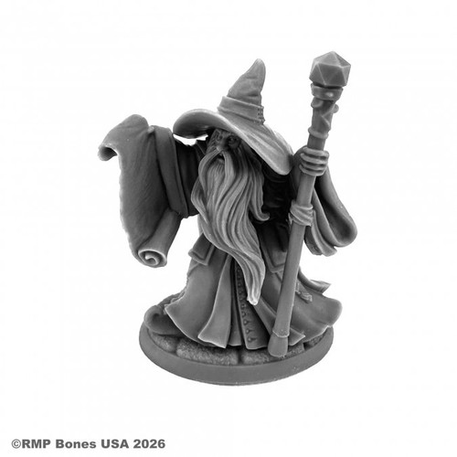 07191 - Bones USA Dungeon Dwellers: Galladon Greycloak