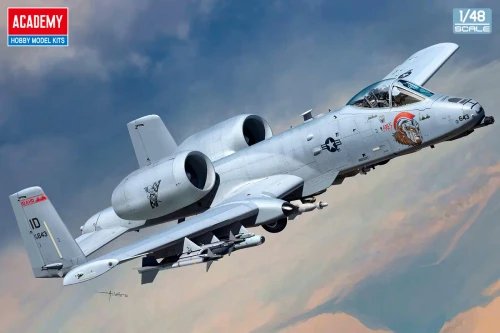 1/48 A-10C "Nose Art" ACY12379
