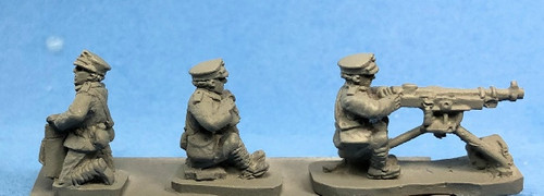 PIG160294 - Polish HMG's