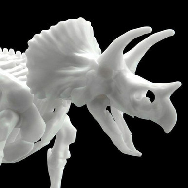 Dinosaur Limex Skeleton: Triceratops - Brookhurst Hobbies