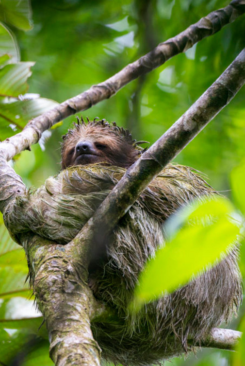 Nature & World Photography