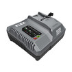 Flex FX0431-Z 24V 550W SUPER CHARGER