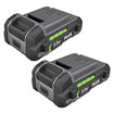 Flex FX0111-2 24V 2.5Ah Lithium-Ion Battery 2-Pack