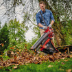 Einhell 3433645 36V 3-in-1 435 CFM Cordless leaf Blower/Vacuum/Mulcher