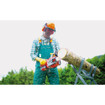 Einhell 4501786 18V 10 In. Cordless Chain Saw Kit