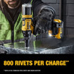Dewalt DCF403D1 20V MAX XR Brushless 3/16 in. Rivet Tool Kit