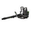 EGO LBPX8004-2 Commercial 800 CFM Backpack Blower With 2 X 6.0Ah Battery And Dual Port Charger