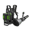 EGO LBPX8004-2 Commercial 800 CFM Backpack Blower With 2 X 6.0Ah Battery And Dual Port Charger