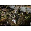 Milwaukee 3008-21 M18 Brushless Telescoping Pole Pruning Shears Kit