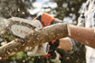 Stihl GTA26S Cordless Pruning Saw