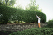EGO HTX5310-P Commercial 21 In. Extended Pole Hedge Trimmer (Tool Only)