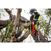Milwaukee 48-22-9372 14 in. Fixed Pruning Saw