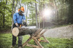 Stihl MS250 MS 250 Gas Chainsaw