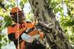 Stihl MSA 161 T Battery Chainsaw