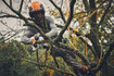 Stihl GTA 40 Battery Garden Pruner Set