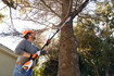Stihl HTA 50 Battery Pole Pruner