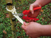 Bessey D48 BESSEY Multi-purpose Snip, Straight Blades, Blade Length 1-5/8 Inch, Over-all 7-3/4 Inches Long