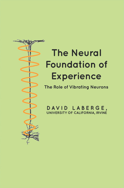 The Neural Foundation of Experience