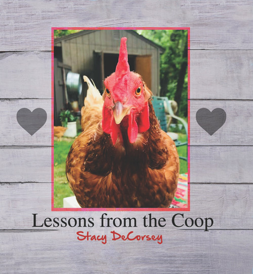 Lessons from the Coop