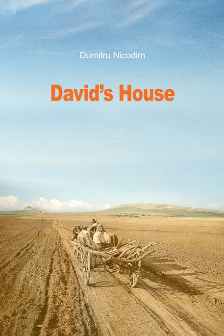 David's House