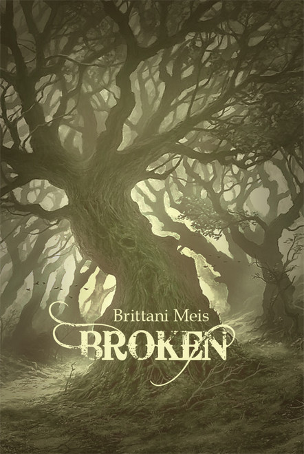 Broken 1