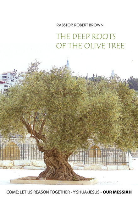 The Deep Roots of the Olive Tree