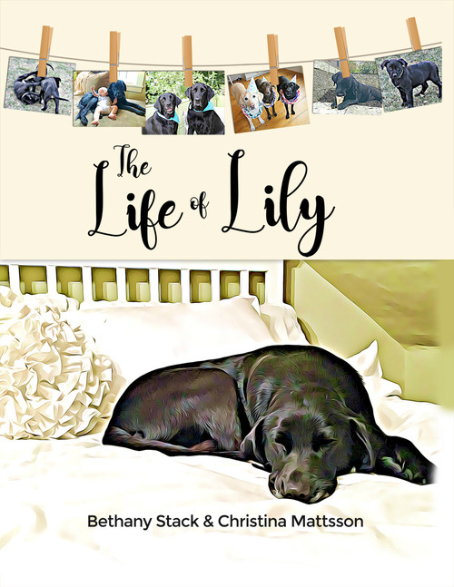 The Life of Lily