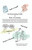 An Entertaining Guide to Basic Accounting
