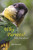 Why Parrots?