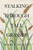 Stalking Through Tall Grasses