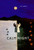 Calm Night