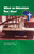 What An Adventure That Was!: Brazil 1956-1965