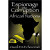 Espionage into Corruption in African Nations