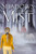 Shadows within the Mist