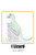 I Lizard