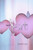 From the Heart 2