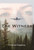 The Witness