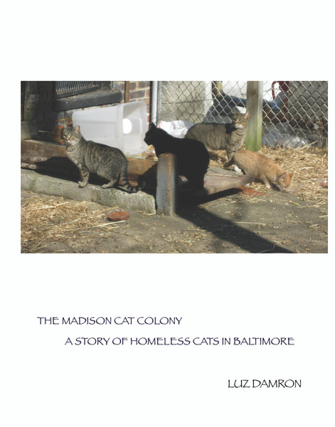 The Madison Cat Colony: A Story of Homeless Cats in Baltimore